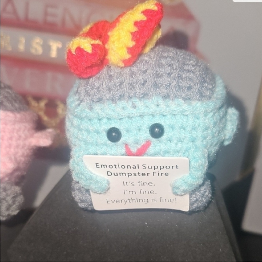 Emotional Support Dumpster Fire